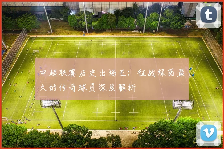 中超联赛历史出场王:征战绿茵最久的传奇球员深度解析